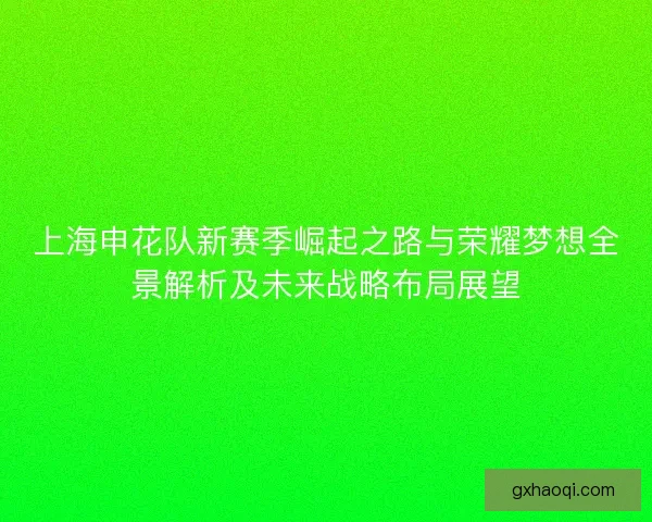 上海申花队新赛季崛起之路与荣耀梦想全景解析及未来战略布局展望